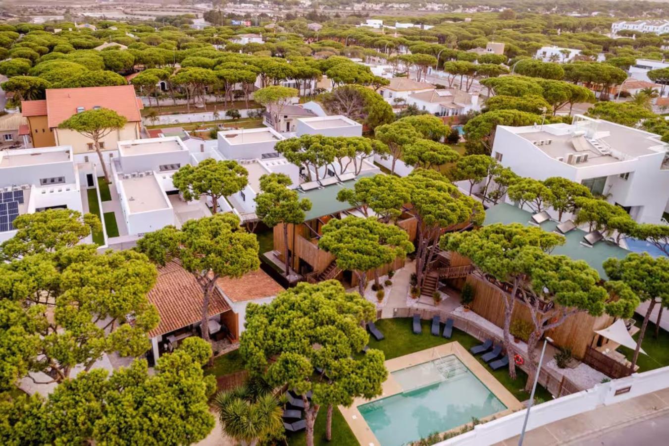 Apartamentos Biopasivos Living Pura Madera Chiclana de la Frontera Esterno foto